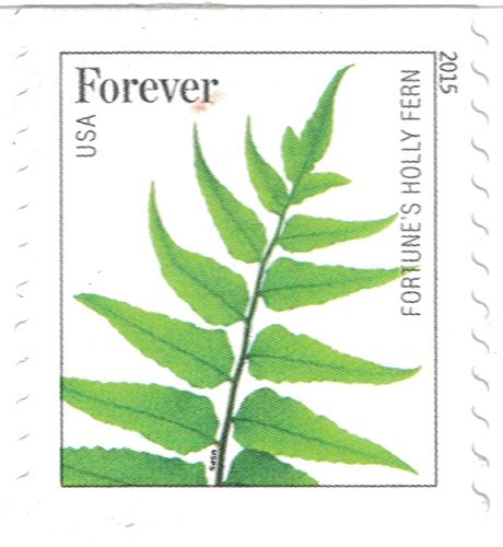USPS طوابع USPS من السرخس - 50 طابع دائم (5 شرائط من 10 طوابع) - Image 3