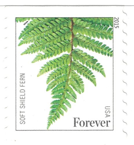 USPS طوابع USPS من السرخس - 50 طابع دائم (5 شرائط من 10 طوابع) - Image 4