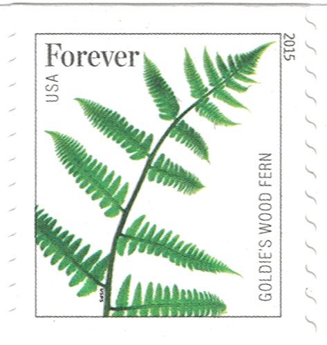 USPS طوابع USPS من السرخس - 50 طابع دائم (5 شرائط من 10 طوابع) - Image 5