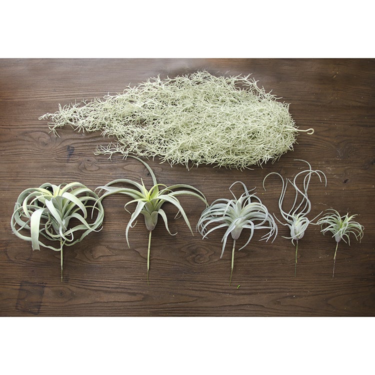 Place Of Origin Supply Guangzhou Succulents Pineapple Air Grass Home Decoration Fake Flower Potted Plants - Image 3