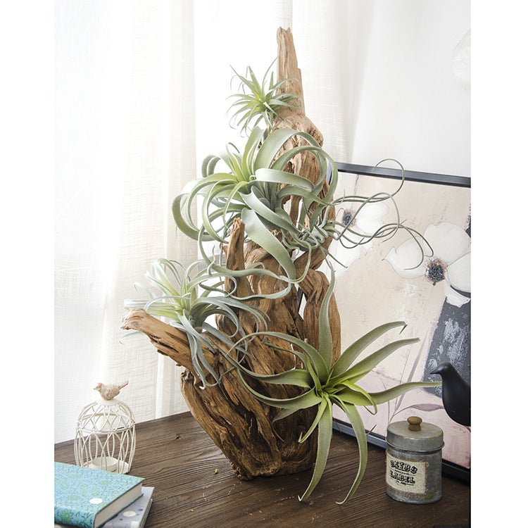 Place Of Origin Supply Guangzhou Succulents Pineapple Air Grass Home Decoration Fake Flower Potted Plants - Image 5