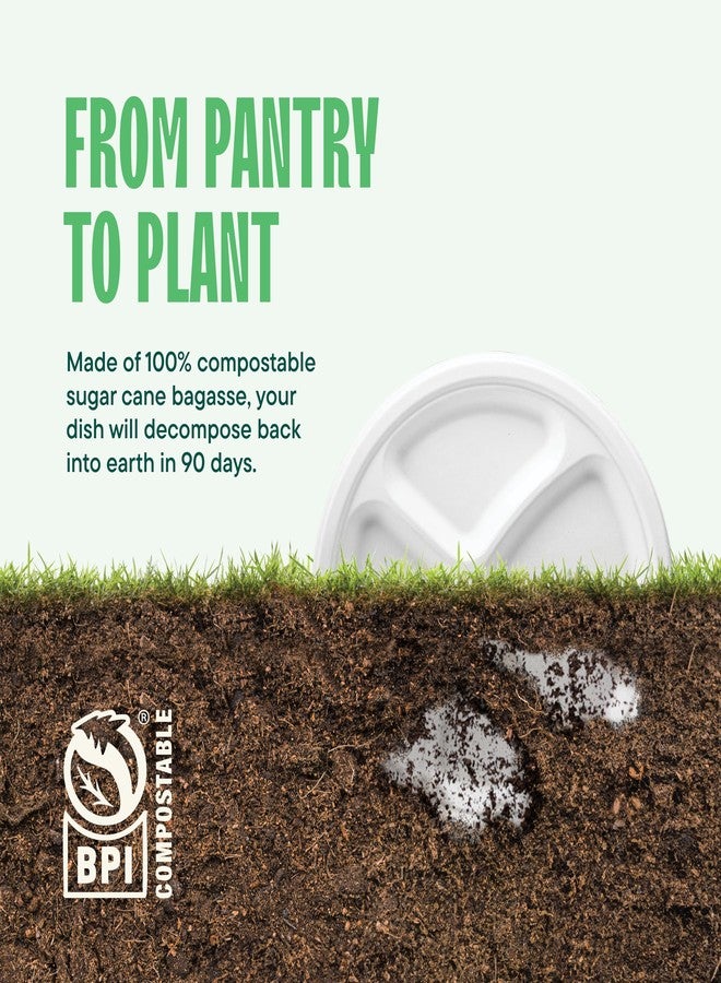 Stack Man 100% Compostable, 3 Compartment [10-Inch] Disposable Paper Plates [125-Pack] Sectional Lunch Trays + Dividers - Divided Platter Tray - Heavy Duty Biodegradable Bagasse (BPA-Certified) (PFAS-Free) - Image 5
