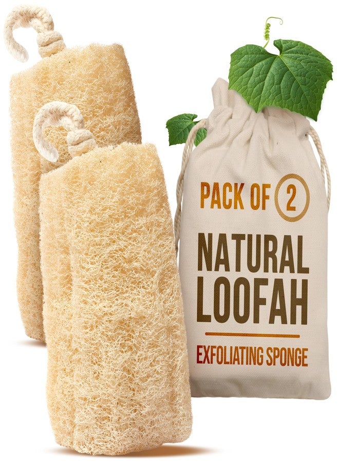CraftsOfEgypt Natural Loofah Sponge - Egyptian Luffa Body Scrubber Pack of 2 for Men & Women, Natural Bath & Shower Loofah Exfoliator, All Natural Loofah Sponges for Face Back & Body, 6" x 6" - Image 1