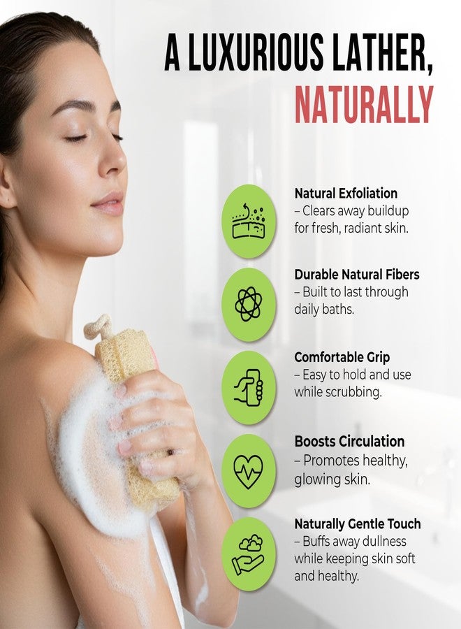 CraftsOfEgypt Natural Loofah Sponge - Egyptian Luffa Body Scrubber Pack of 2 for Men & Women, Natural Bath & Shower Loofah Exfoliator, All Natural Loofah Sponges for Face Back & Body, 6" x 6" - Image 2