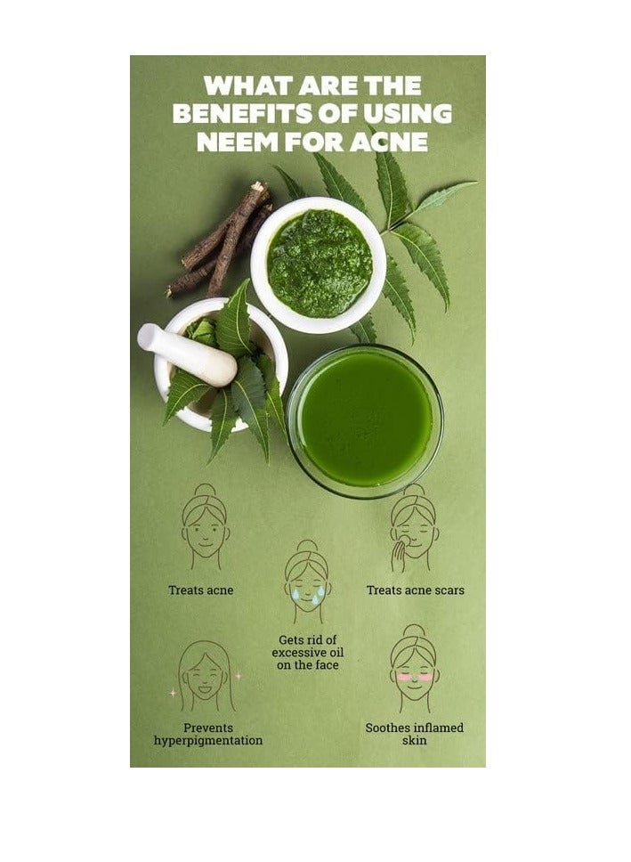 مملكة الإكسسوارات مسحوق النيم (250 غرامًا) - طبيعي ونقي 100% | مناسب للبشرة والشعر | يُحارب حب الشباب والبقع ويهدئ البشرة المتهيجة | يُقوي الشعر ويُقلل من القشرة ويُعزز صحة فروة الرأس - Image 5