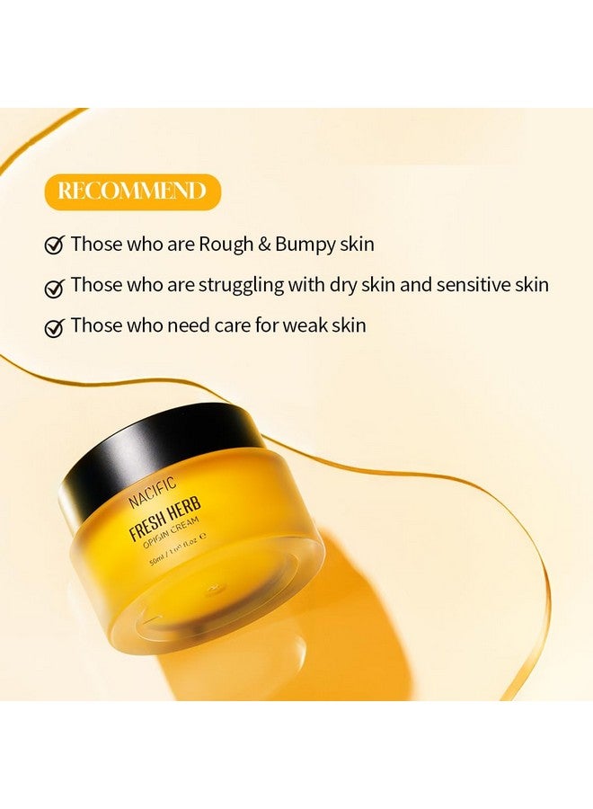NACIFIC Fresh Herb Origin Facial Cream 1.69fl.oz 50ml Vitamin B, Vitamin Radiance Skin's moisture barrier Hydrating day and night Korean skincare for All skin types - Image 5