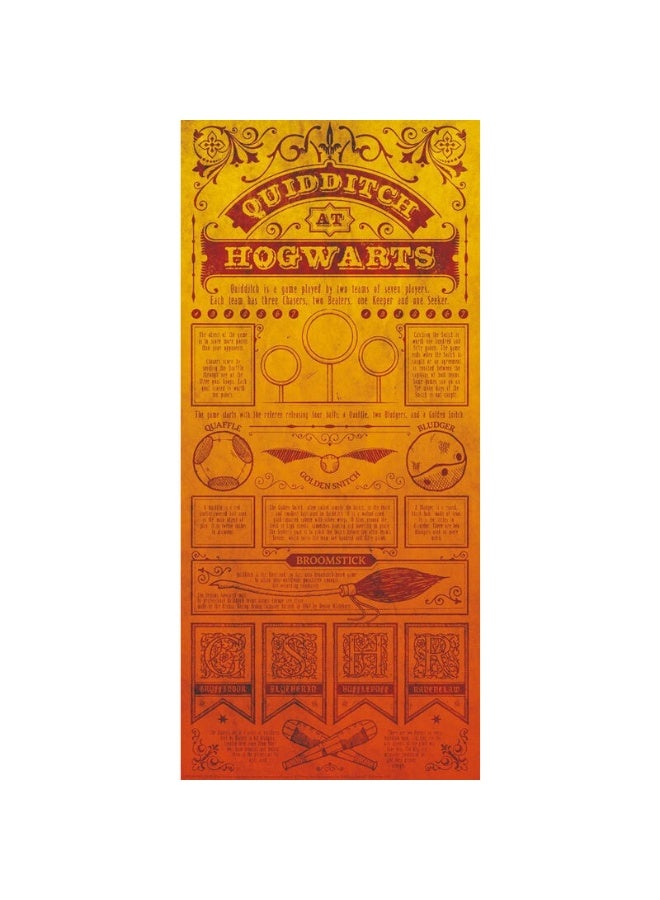 Funko Harry Potter Art Print : Quidditch Rules
