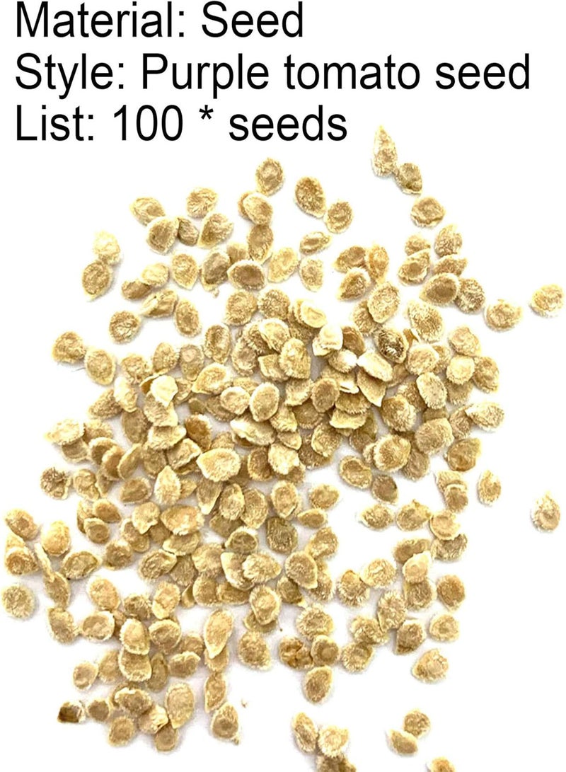 GGOOT 1 Bag Purple Tomato Seeds, Non GMO Prolific Productive High Yield Tomato Seeds for Home Purple Tomato Seeds - Image 5