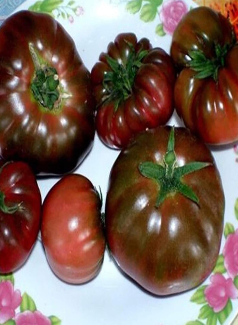 GGOOT 1 Bag Purple Tomato Seeds, Non GMO Prolific Productive High Yield Tomato Seeds for Home Purple Tomato Seeds - Image 4