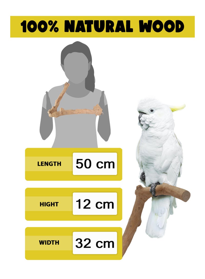 CHEWY BEAK Birds Stand Java wood perch for Large Birds  Parrots African Grey Casco cockatoo amazon Wooden Perch Natural Indonesian Wooden Tree branch Cage Accessories stick - Image 2