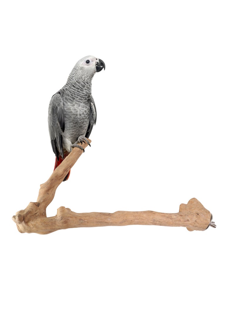 CHEWY BEAK Birds Stand Java wood perch for Large Birds  Parrots African Grey Casco cockatoo amazon Wooden Perch Natural Indonesian Wooden Tree branch Cage Accessories stick - Image 1