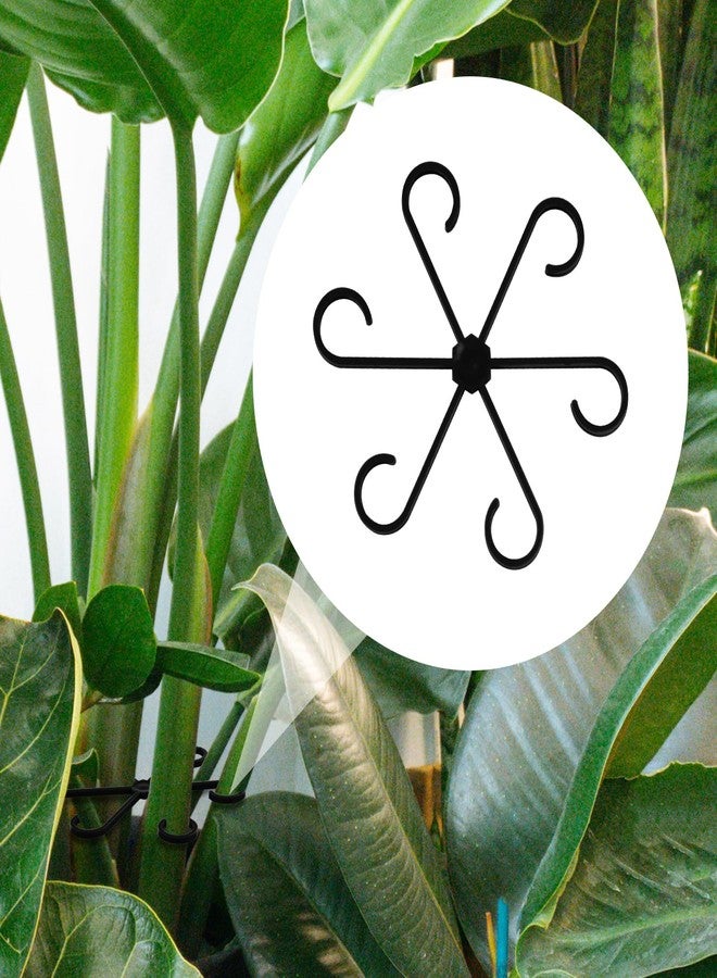 PEUTIER Pack of 4 Plant Supports, Plastic Handle Holder for Plant Climbers, Reusable Plant Trunk Hook, Plant Trunk Support for Plants (Black) - Image 4