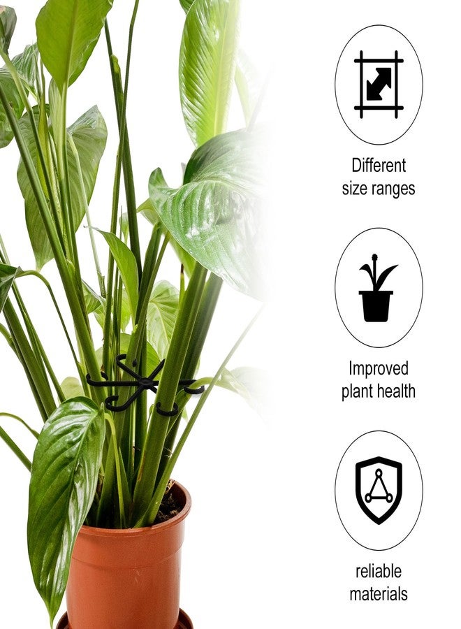 PEUTIER Pack of 4 Plant Supports, Plastic Handle Holder for Plant Climbers, Reusable Plant Trunk Hook, Plant Trunk Support for Plants (Black) - Image 5