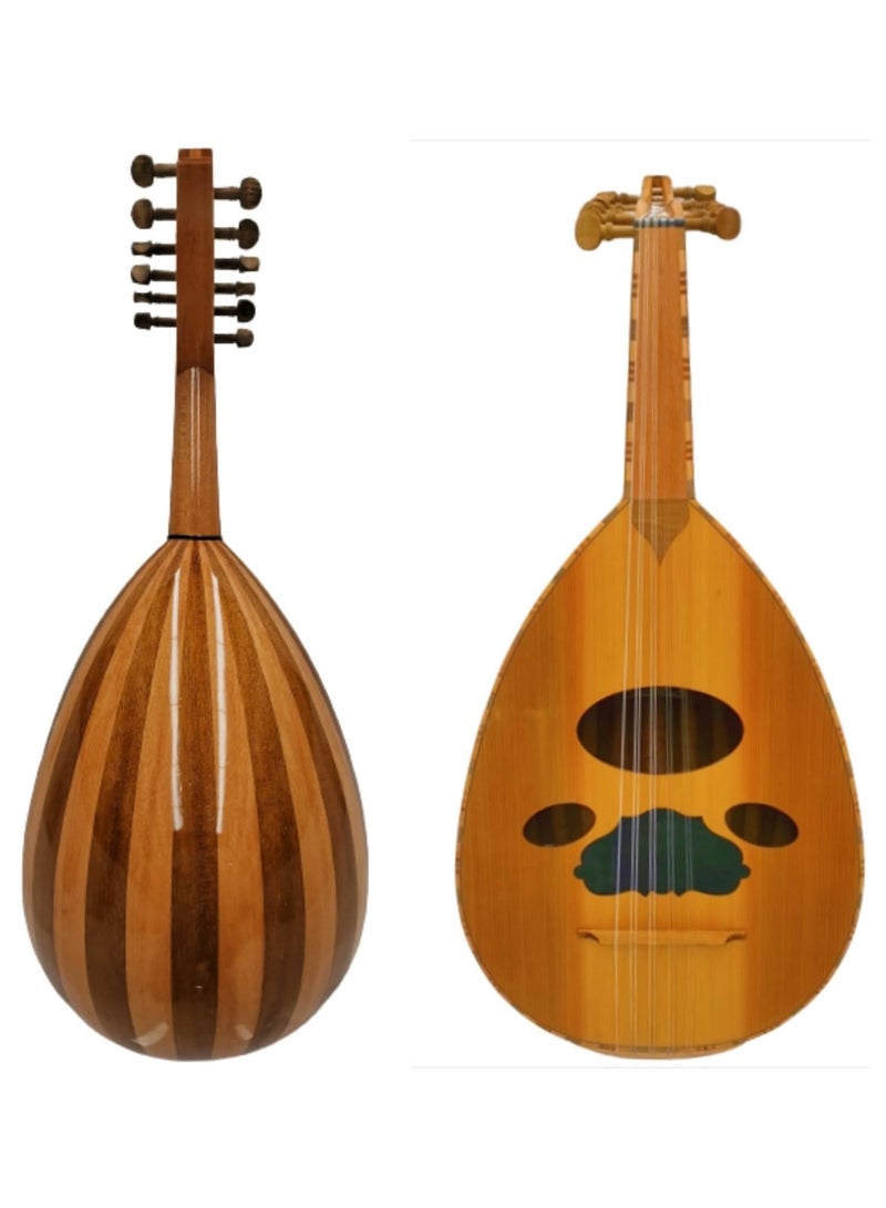 Generic Syrian oud andSyrian oud musician and professional player player 