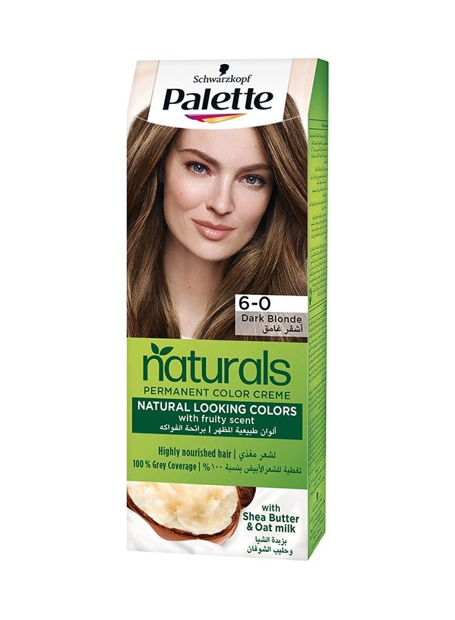 PALETTE NATURAL 6-0 DARK BLONDE