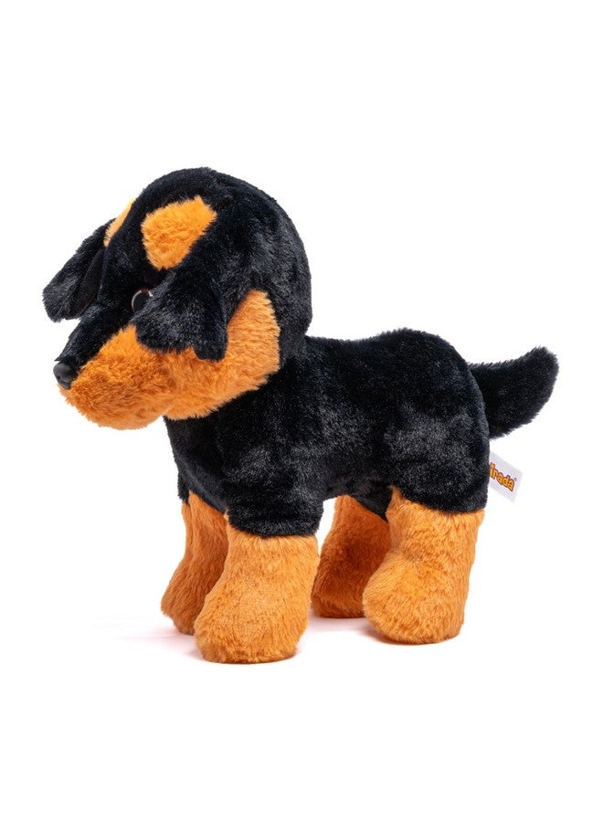 Mirada Black Rottweiler Dog Soft Toy | Adorable Plush Animal Husky Dog for Kids | Soft and Huggable Stuffed Toy -30 cm - Image 4