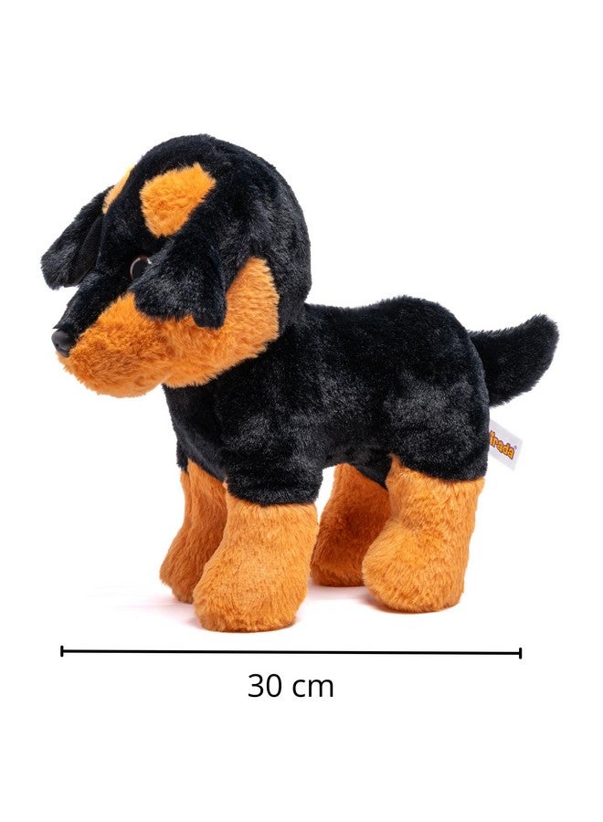 Mirada Black Rottweiler Dog Soft Toy | Adorable Plush Animal Husky Dog for Kids | Soft and Huggable Stuffed Toy -30 cm - Image 5