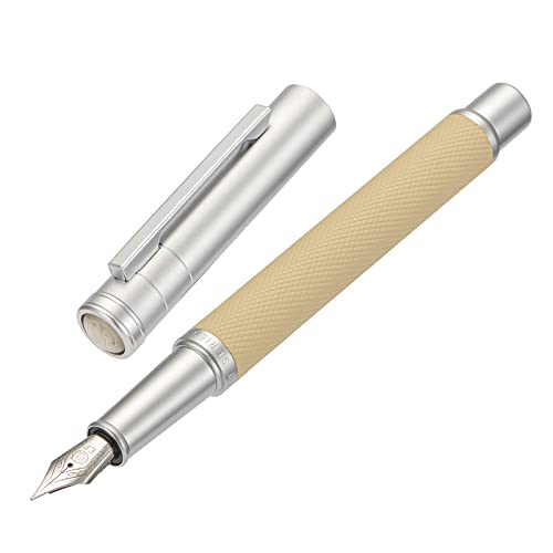 Asvine Silver Birch Forest Aluminum Fountain Pen Extra Fine Nib with Converter and Metal Case Set By Asvine - Image 2
