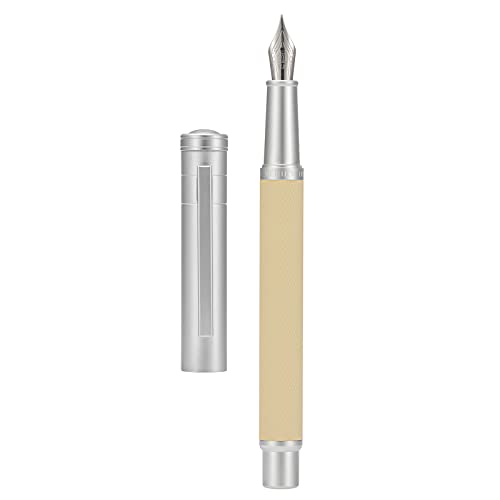 Asvine Silver Birch Forest Aluminum Fountain Pen Extra Fine Nib with Converter and Metal Case Set By Asvine - Image 1