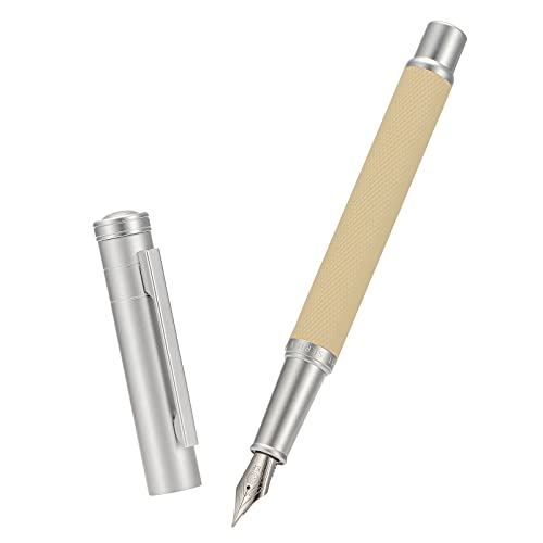Asvine Silver Birch Forest Aluminum Fountain Pen Extra Fine Nib with Converter and Metal Case Set By Asvine - Image 4