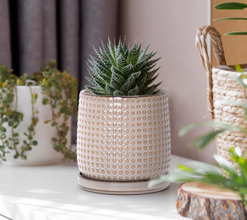 D'vine Dev 4 Inch Ceramic Beaded Stoneware Planter Pot - Flower Pot with Drainage Holes and Saucers for Indoor Succulent Plants or Flowers, Light Brown, 27-C-Z-4 - Image 2