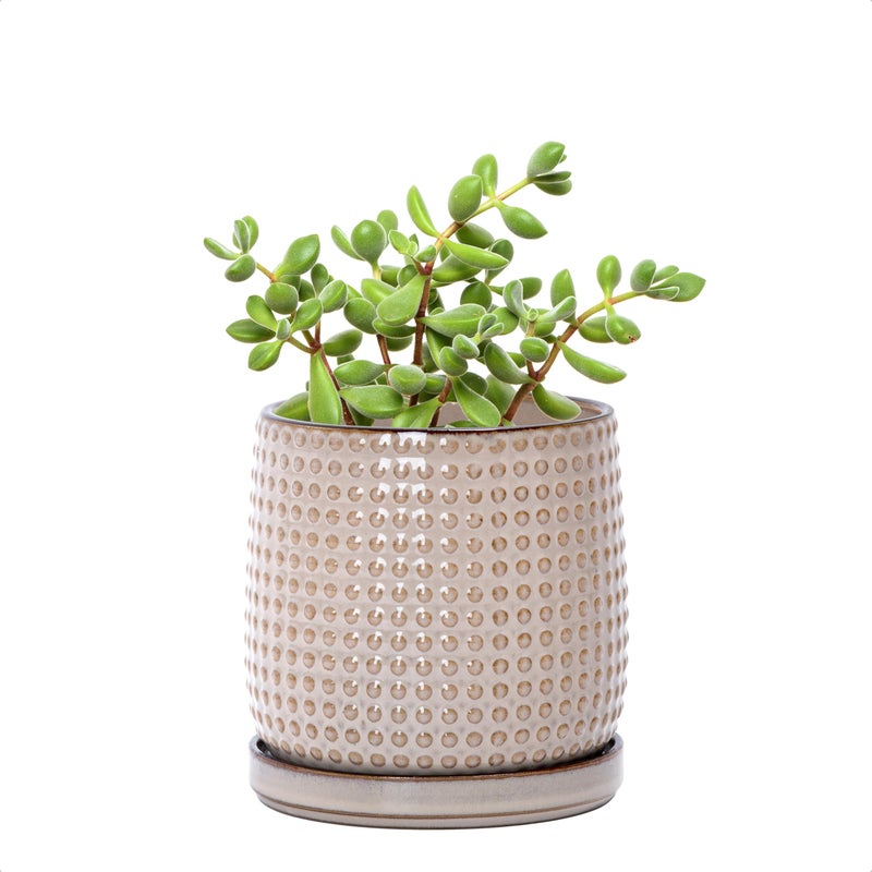 D'vine Dev 4 Inch Ceramic Beaded Stoneware Planter Pot - Flower Pot with Drainage Holes and Saucers for Indoor Succulent Plants or Flowers, Light Brown, 27-C-Z-4 - Image 1