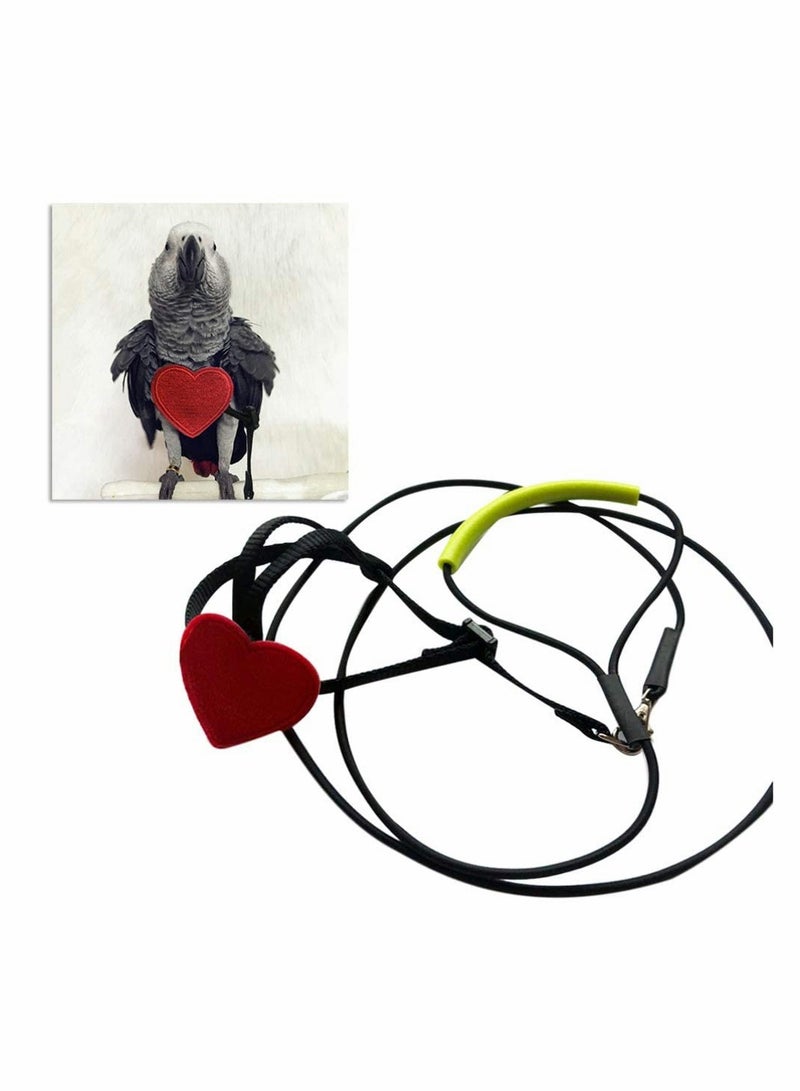 KASTWAVE Bird Harness - Parrot Leash Adjustable Bird Leash Parrot Pets Outdoor Flying Training Rope for Small Middle Birds - Size M - Image 1