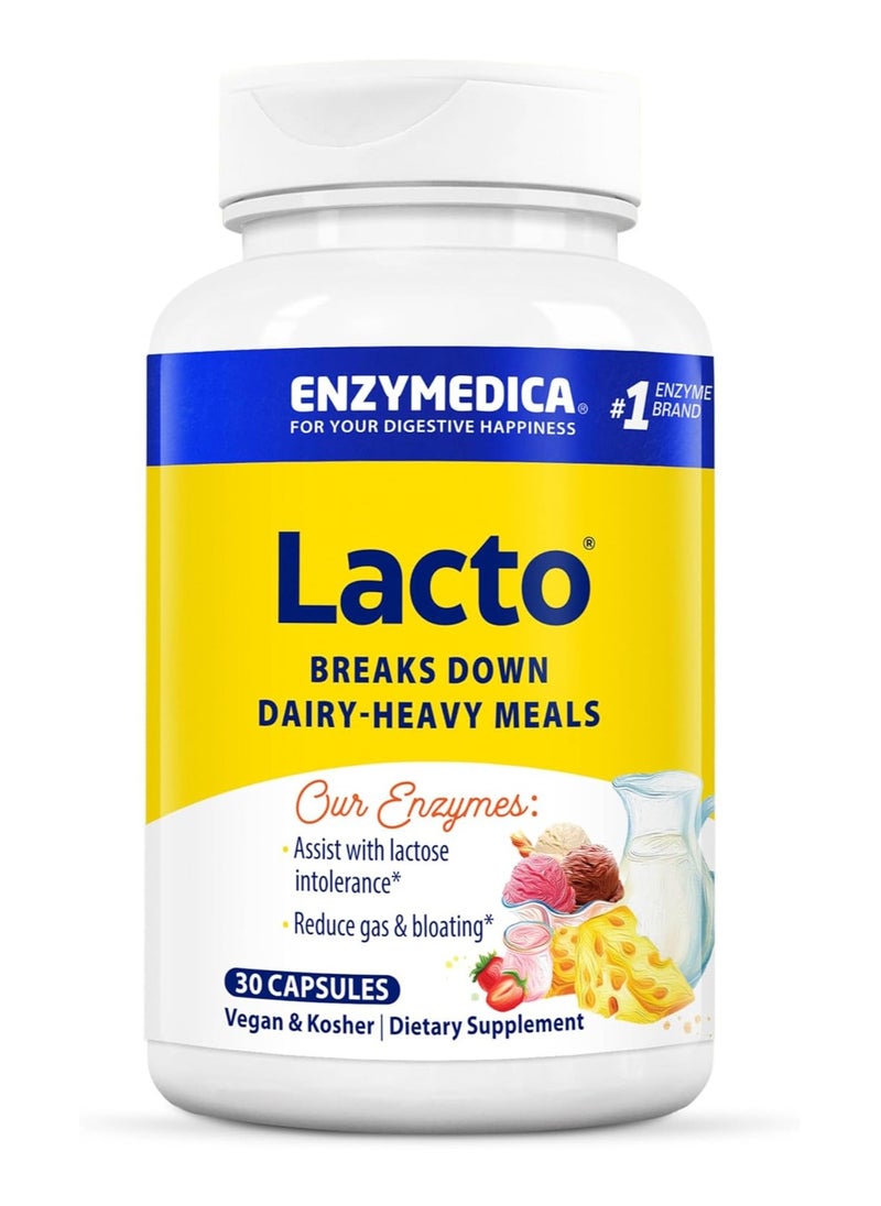 ENZYMEDICA Enzymedica Lacto, Maximum Strength Formula for Dairy Intolerance, With Enzymes Lactase and Protease, Relieves Digestive Discomfort, 30 capsules (30 servings)  - Image 1