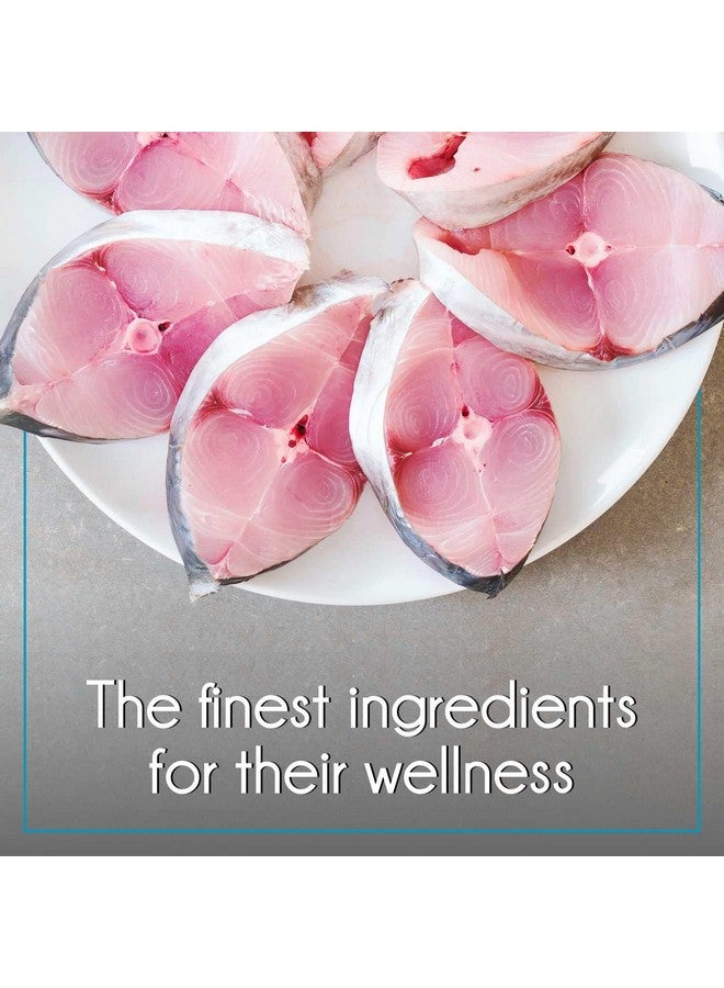 PUREPET طعام القطط البالغة من بيوربيت، سمك المحيط، 2.8 كجم، كروكيت - Image 5