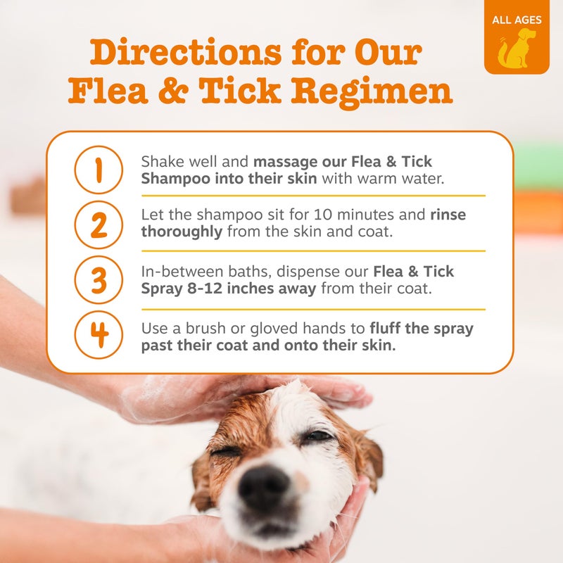 Zesty Paws Flea and Tick Shampoo for Dogs - Veterinarian Formulated Flea Shampoo for Dogs to Kill Fleas, Ticks & Their Eggs - Soothes Itchy & Irritated Dog Skin - Cedarwood, Rosemary & Peppermint Oil - Image 4