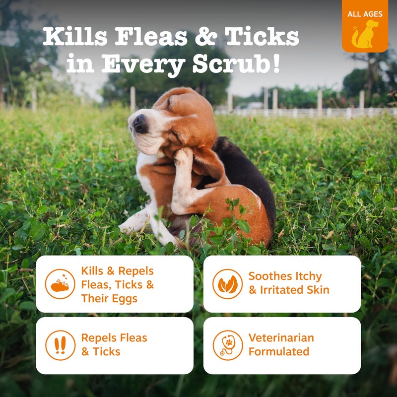 Zesty Paws Flea and Tick Shampoo for Dogs - Veterinarian Formulated Flea Shampoo for Dogs to Kill Fleas, Ticks & Their Eggs - Soothes Itchy & Irritated Dog Skin - Cedarwood, Rosemary & Peppermint Oil - Image 3