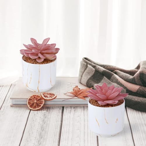 ZENIDA Succulent Artificial Plants,Cute Fake Succulents in 4 White Ceramic Pots,Small Fake Plants for Office,Table,Desk,Bathroom, Bedroom,Aesthetic Room Shelves Decor,Desk Decorations for Women Office - Image 3