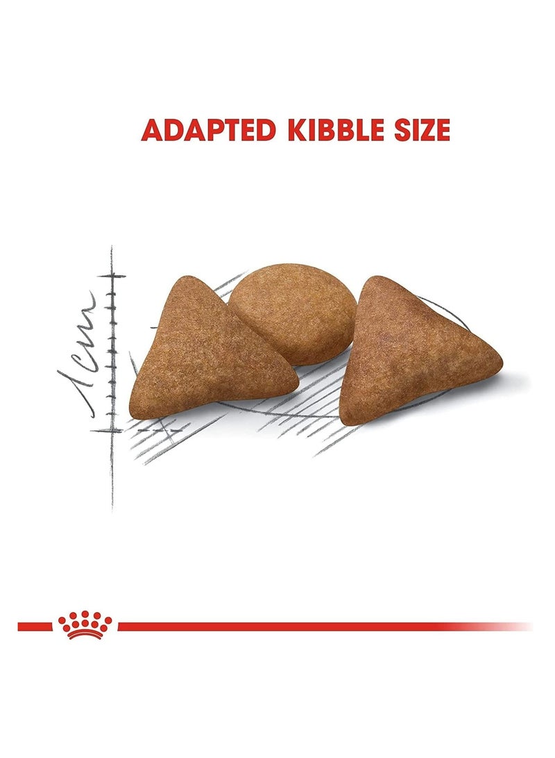 رويال كانين British Shorthair Adult 4kg - Image 3