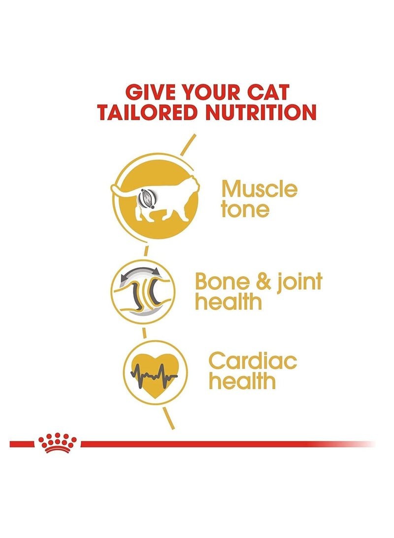 رويال كانين British Shorthair Adult 4kg - Image 4