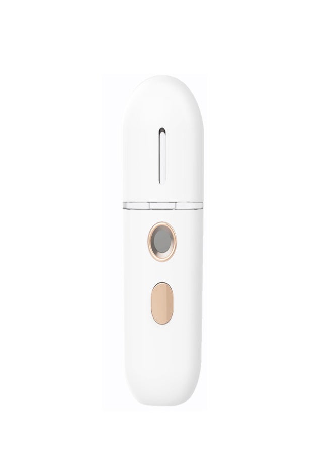 Facial Steamer for Face  Cool Facial Mister Steamer Handy Mist Sprayer Moisturizing & Hydrating for Skin Care Deep Cleaning Makeup Eyelash Extensions - Image 1