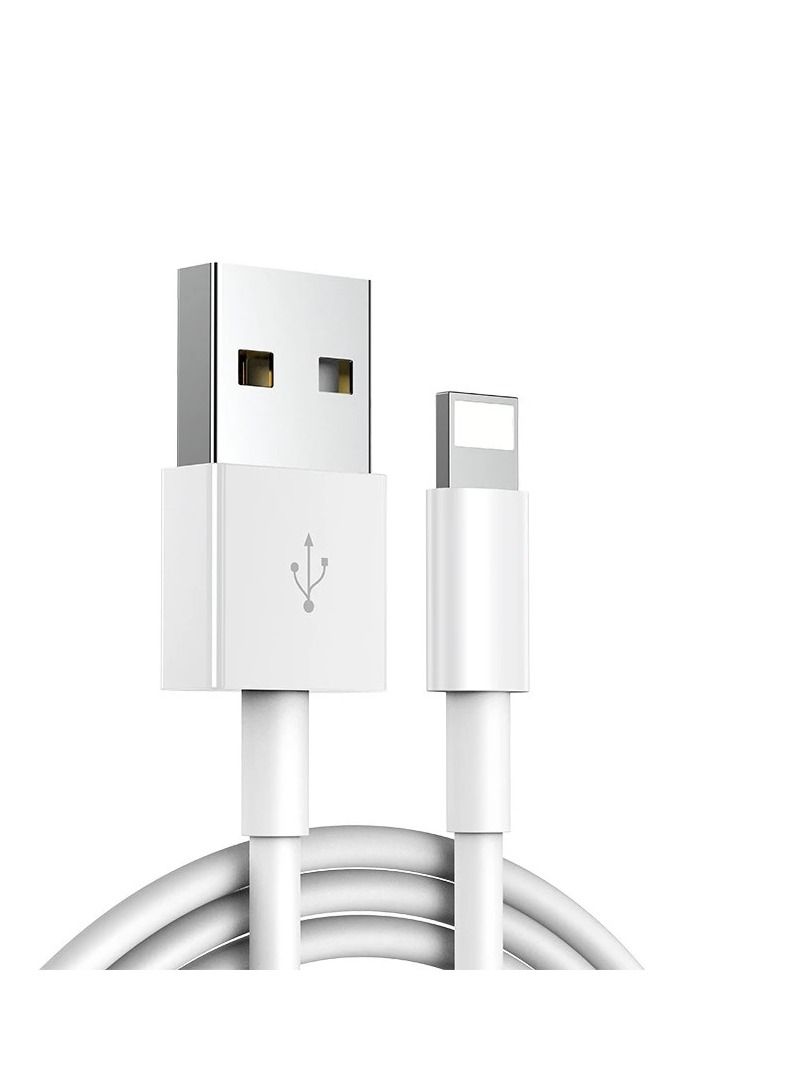 NTECH 1M USB Charger Cable & Data Sync Cord for iPhone X-XS Max/XR, 6/8 Plus, 11/13/14 Pro Max, SE 2020, iPad Mini 2/3/4, Air 2 Pro - 1M - Image 4