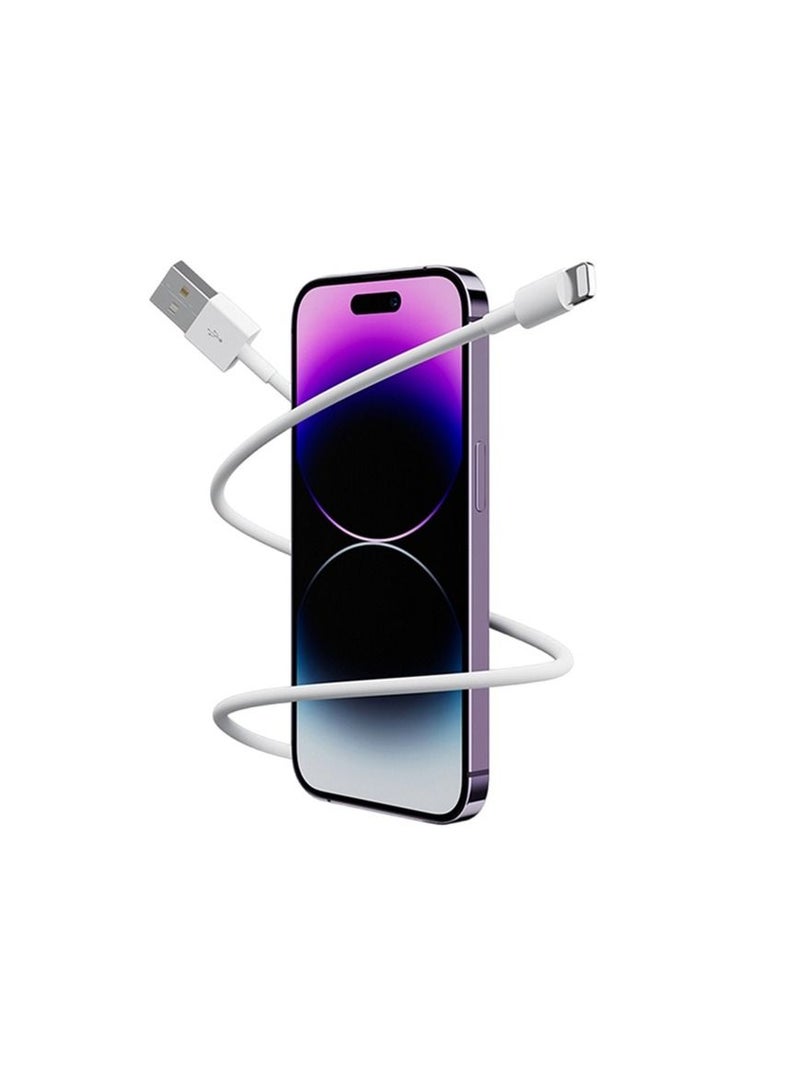 NTECH 1M USB Charger Cable & Data Sync Cord for iPhone X-XS Max/XR, 6/8 Plus, 11/13/14 Pro Max, SE 2020, iPad Mini 2/3/4, Air 2 Pro - 1M - Image 2