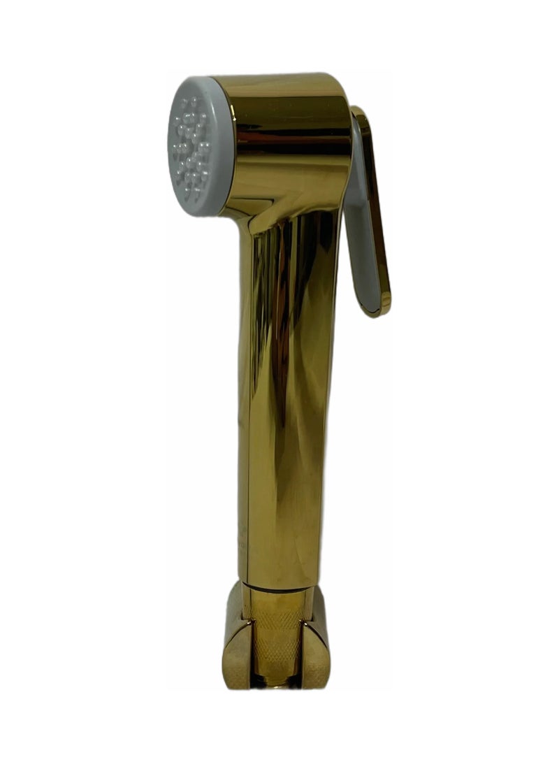 Luxury Toilet Bidet Spray Shattaf Set Golden with 1.2 meter Hose and  Hook - Image 1