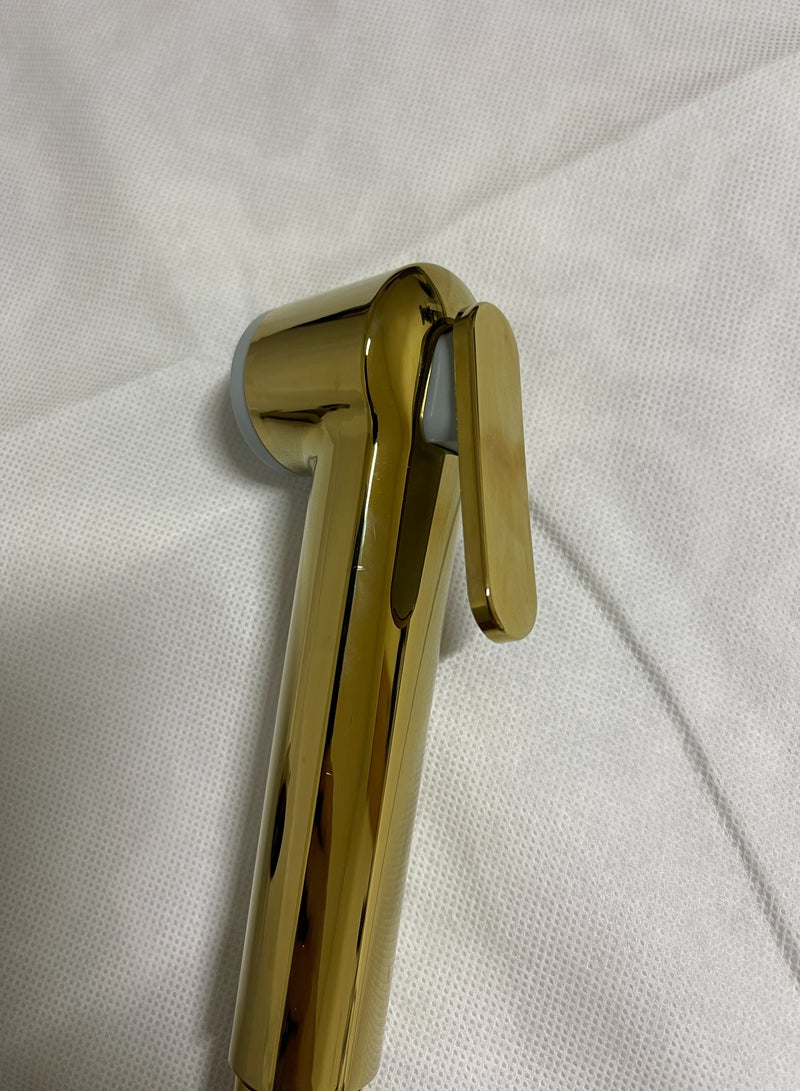 Luxury Toilet Bidet Spray Shattaf Set Golden with 1.2 meter Hose and  Hook - Image 2