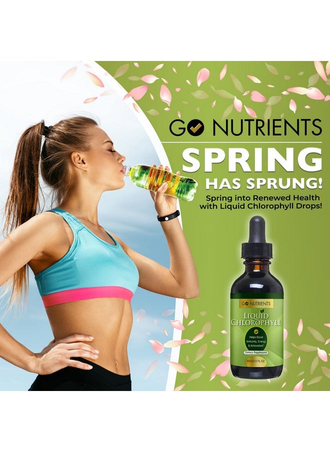 Go Nutrients All Natural Liquid Chlorophyll Sodium Copper Chlorophyllin Supplement Chlorophyll Liquid Drops Gmofree Veganfriendly Glutenfree Liquid Chlorophyll Drops 60 Ml  - Image 4