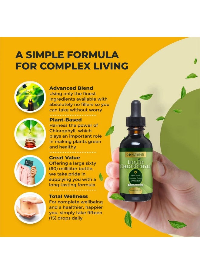 Go Nutrients All Natural Liquid Chlorophyll Sodium Copper Chlorophyllin Supplement Chlorophyll Liquid Drops Gmofree Veganfriendly Glutenfree Liquid Chlorophyll Drops 60 Ml  - Image 5