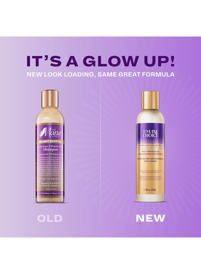 THE MANE CHOICE شامبو مضاد للتكسر من مصر القديمة، 8 أونصات، ينظف، يقوي ويرطب مع البيوتين والفيتامينات - شامبو خالي من البارابين والكبريتات - Image 2