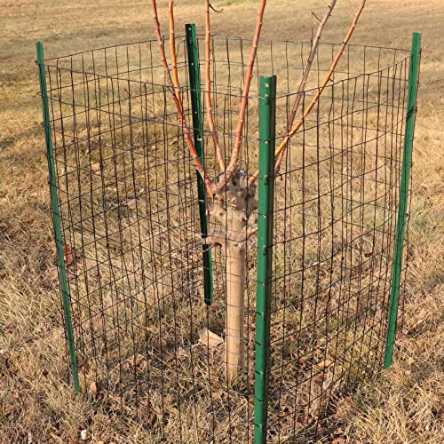 FOREHOGAR Black PVC Coated Welded Wire Fence 24 Inch x 50 Foot, 2 Inch x 3 Inch 16GA, Garden Border Fencing Roll Vinyl Coating Metal Wire Mesh for Yard Vegetable Plant Protection Poultry Netting - Image 5