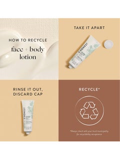 Honest The Honest Company Hydrating Face + Body Lotion | Fast Absorbing, Naturally Derived, Hypoallergenic | Fragrance Free Sensitive, 8.5 fl oz  - Image 4