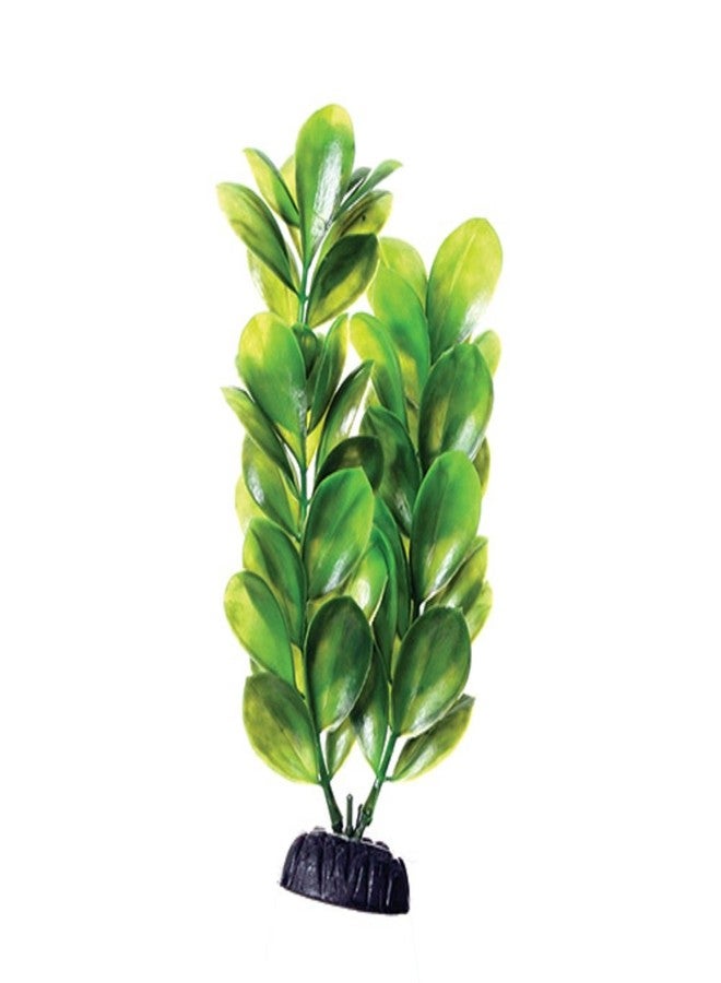 Underwater Treasures Green Bacopa - 8" - Image 1