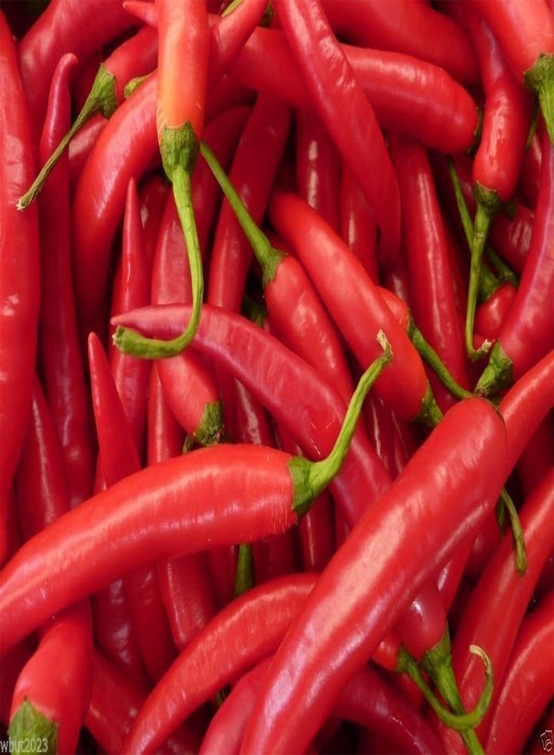 جي جوت بريك تشي فا، إرث عائلي من تايلاند، استخدمه طازجًا أو مجففًا. (25 بذرة) - Image 2