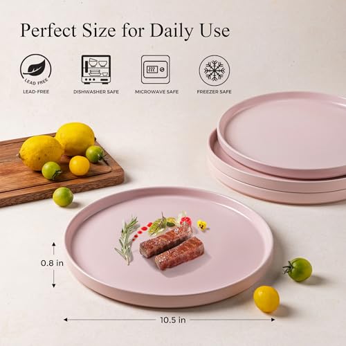 AmorArc Ceramic Dinner Plates Set of 6,10.0 Inch Matte Stoneware Plates for Kitchen,Modern Flat Dinnerware Dishes Set,Microwave& Dishwasher Safe, Scratch Resistant, Matte Pink - Image 2