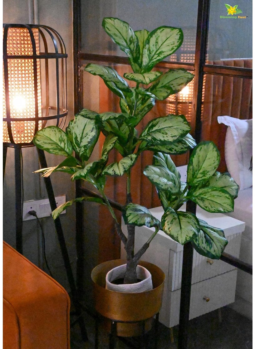 Blooming Floret Blooming Floret Artificial Dieffenbachia Honeydew 95 cm Tall Plant with Basic Black Pot Big Ornamental Plant for Interior DecorHome DecorOffice Decor 33 Leaves Natural Looking Indoor Plant  - Image 5