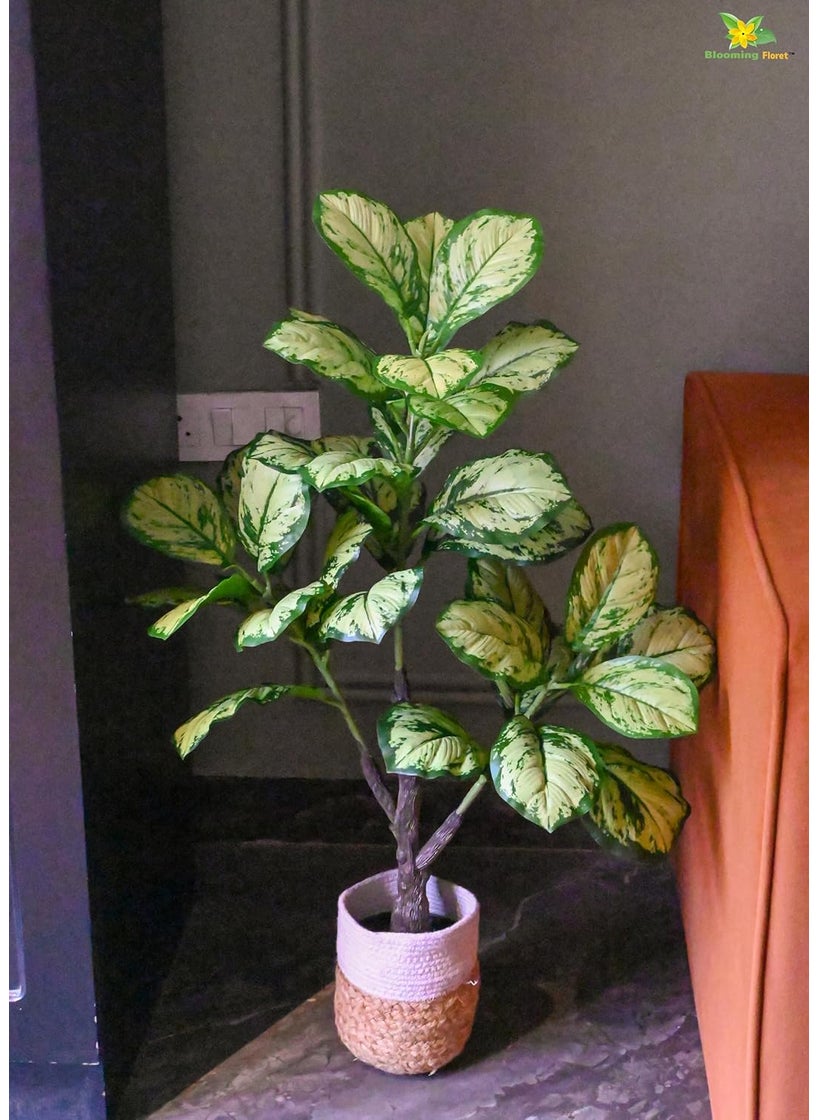 Blooming Floret Blooming Floret Artificial Dieffenbachia Honeydew 95 cm Tall Plant with Basic Black Pot Big Ornamental Plant for Interior DecorHome DecorOffice Decor 33 Leaves Natural Looking Indoor Plant  - Image 3