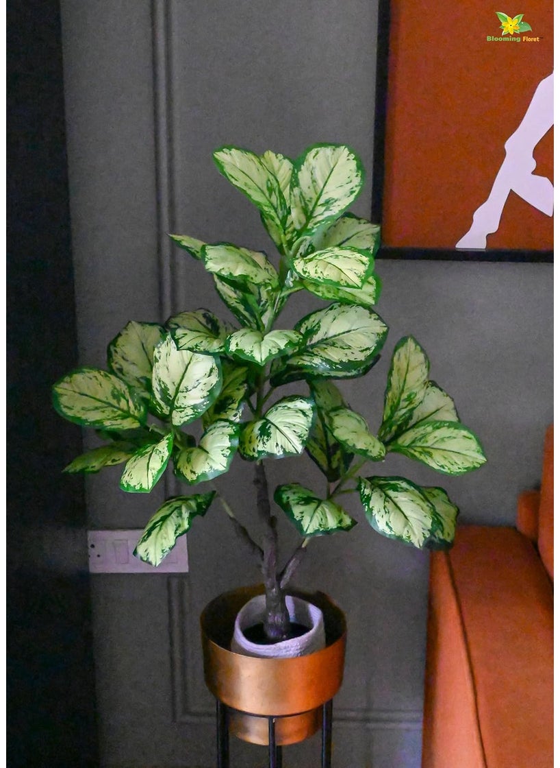 Blooming Floret Blooming Floret Artificial Dieffenbachia Honeydew 95 cm Tall Plant with Basic Black Pot Big Ornamental Plant for Interior DecorHome DecorOffice Decor 33 Leaves Natural Looking Indoor Plant  - Image 1